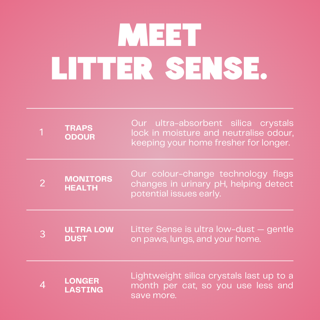 Litter Sense - Health Monitoring Cat Litter