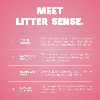 Litter Sense - Health Monitoring Cat Litter