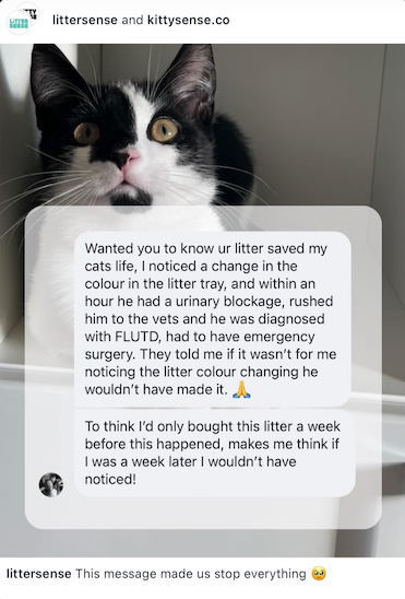 Message from a Litter Sense customer