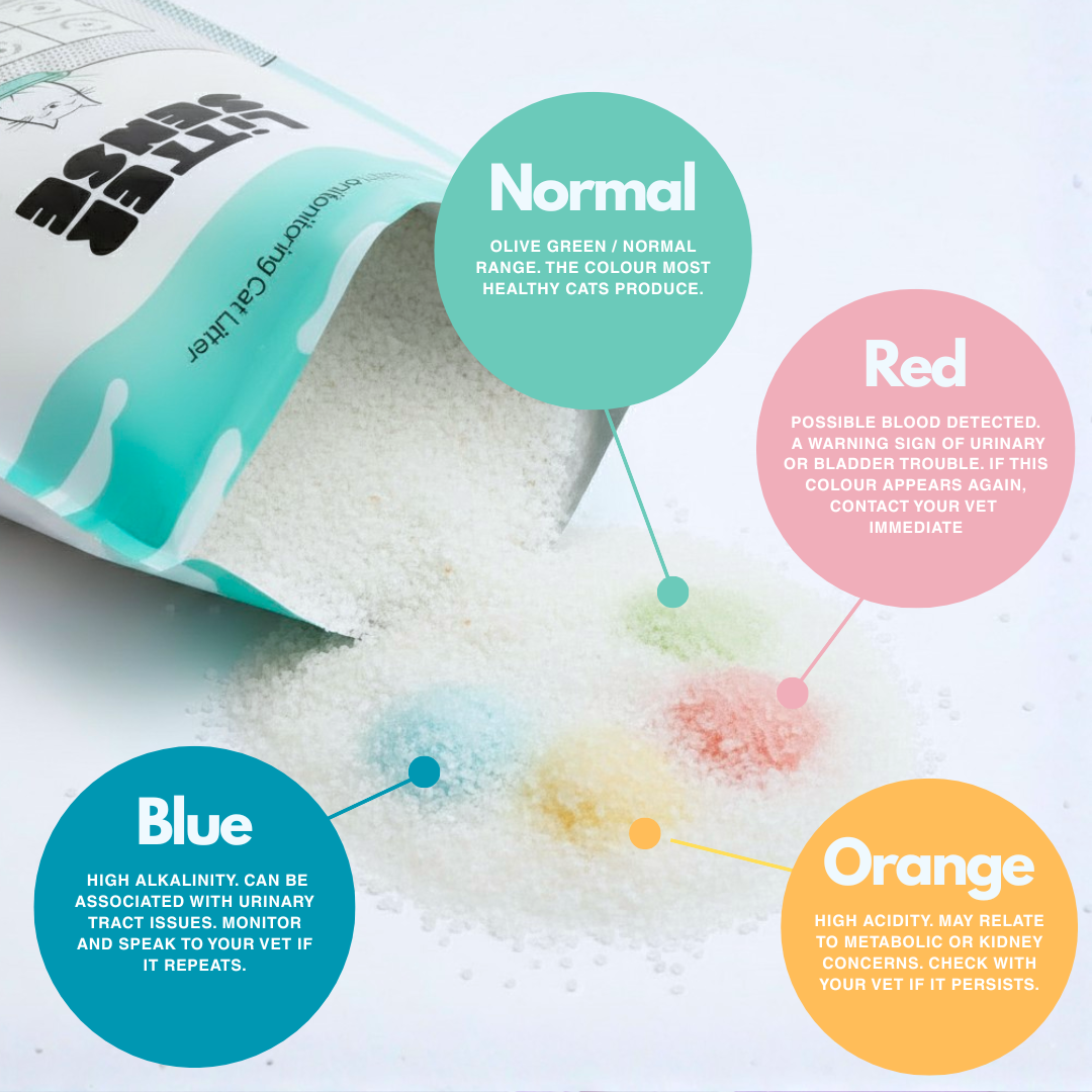 Litter Sense - Health Monitoring Cat Litter